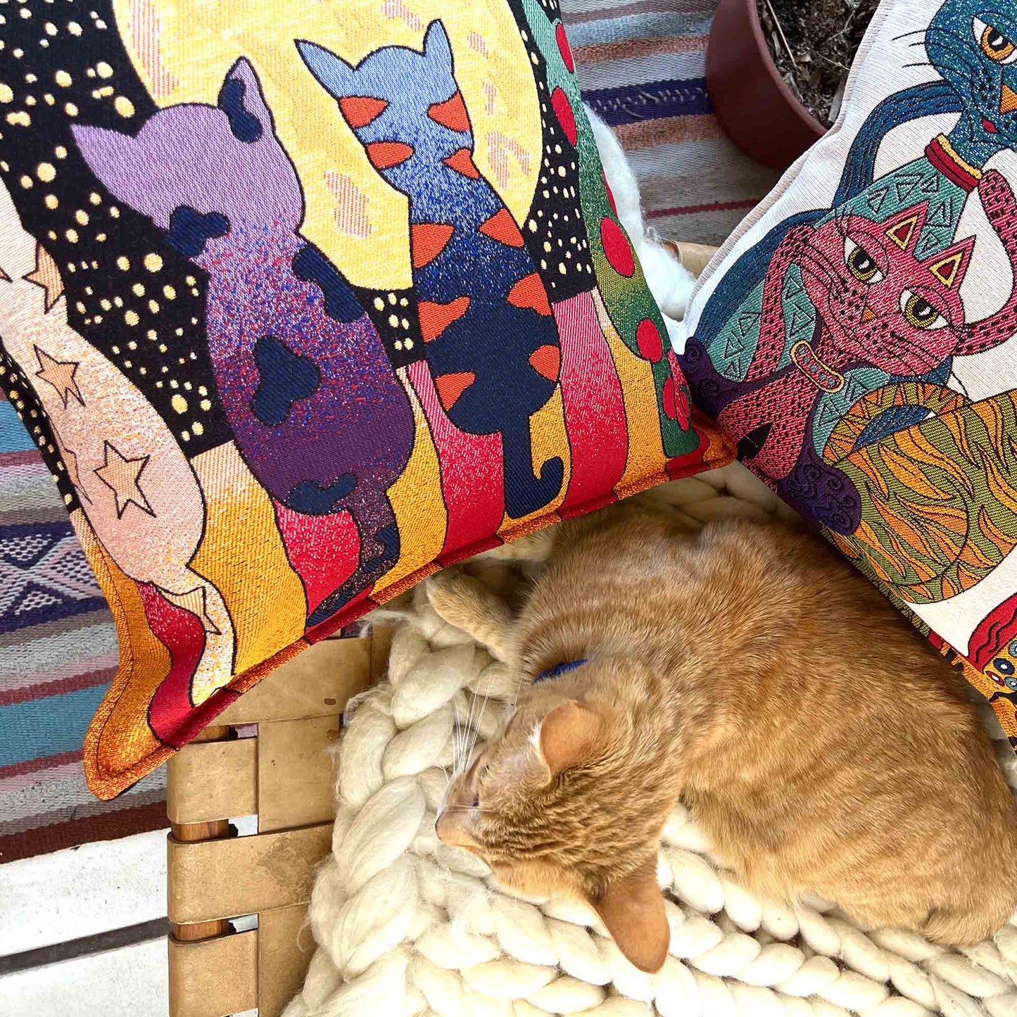 Cojín algodón 44x44 Gatos nocturnos