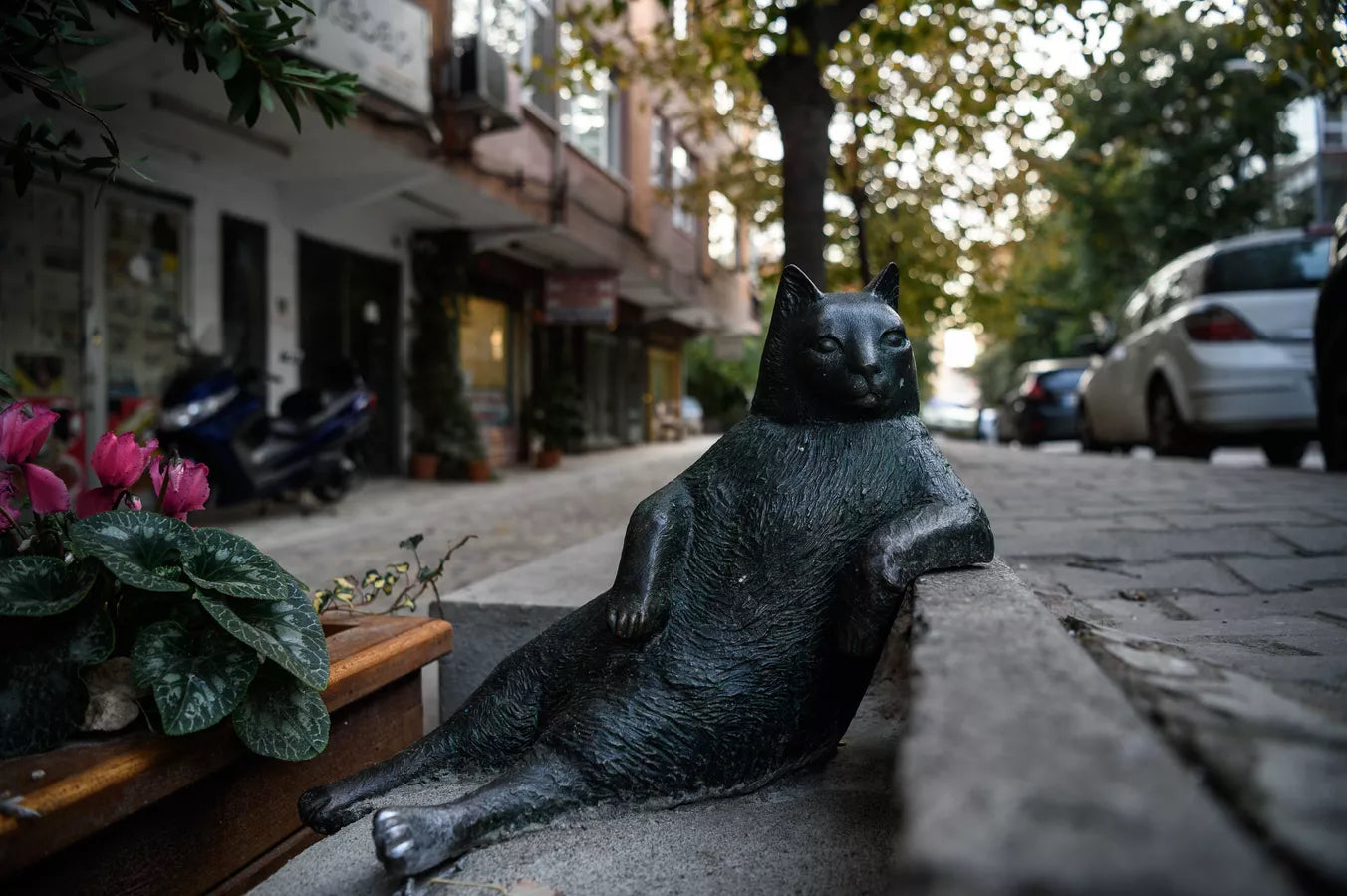 La historia de Tombili, el gatito más famoso de Estambul